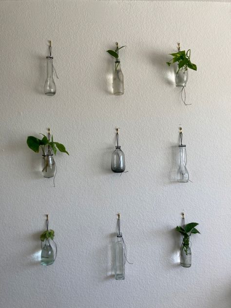 Plant In Bottle Ideas, Plant Glass Wall, Vase Wall, Plant Vase Ideas, Propagating Wall, Plant In Bottle, Plants In Bottles Ideas, Plants In Glass Bottles, Plant Wall Propagation