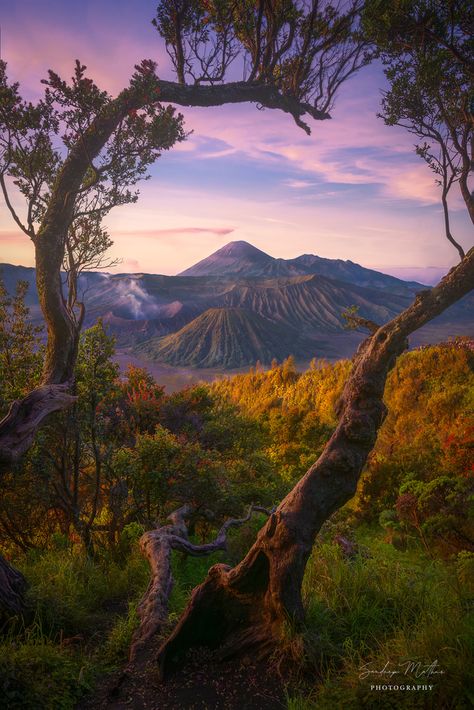 SANDEEP MATHUR - Fstoppers Photo of The Day for May 05 2023 #fstoppers #PotD Mount Bromo is a part of the Bromo Tengger Semeru National Park that covers a massive area of 800 square km. While it may be small when measured against other volcanoes in Indonesia, the magnificent Mt Bromo will not disappoint with its spectacular views and dramatic landscapes. At 2,392 meters tall, Mt Bromo is not among the tallest of Indonesia’s mountains but its stunning beauty lies in its incredible setting. From a Bromo Mountain, Mt Bromo, Mount Bromo, Bird Of Paradise Plant, Legends And Myths, Wwii Plane, Nature Adventure, New Guinea, Island Hopping