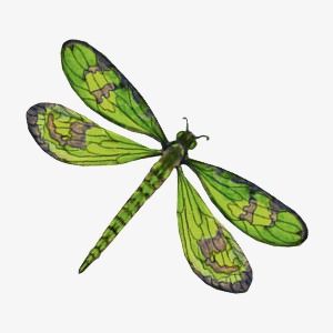 Dragonfly Clipart, Wire Diy, Dragon Fly, Png Transparent Background, Clever Crafts, Png Transparent, Cactus Plants, Drawing Ideas, Png Images