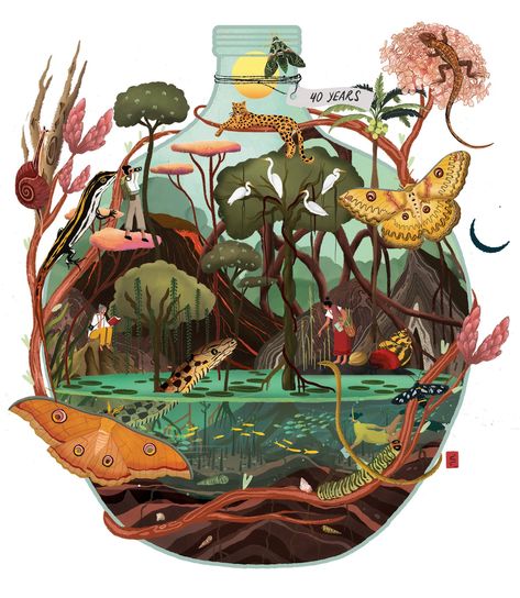 Environment Conservation Art, Bio Diversity Poster, Biodiversity Poster Ideas, Ecosystem Poster, Ecosystem Drawing, Ecosystem Illustration, Biodiversity Art, Biodiversity Illustration, Mushroom Landscape