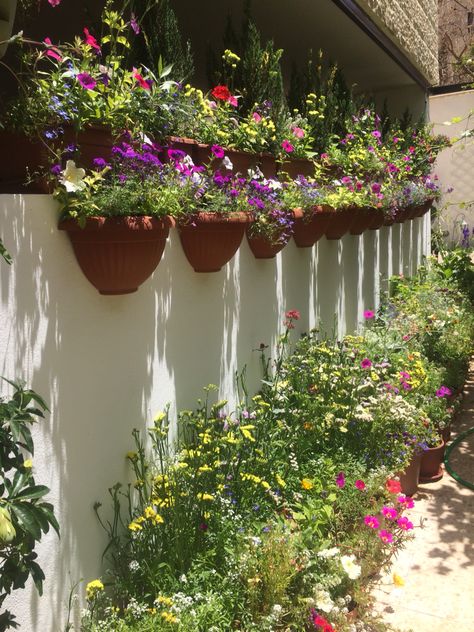 Container garden half wall pots Wall Pots, Pot Rack, Small Space Gardening, Container Garden, Wall Planter, Backyards, All About Plants, Plant Wall, Plant Decor