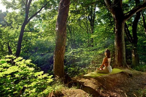 Yoga Forest Photography, Yoga In The Forest, Yoga In The Woods, Shirin Yoku, Woman In Forest, Walking In Forest, Yoga In Nature, Forest Yoga, Sitting Yoga Poses