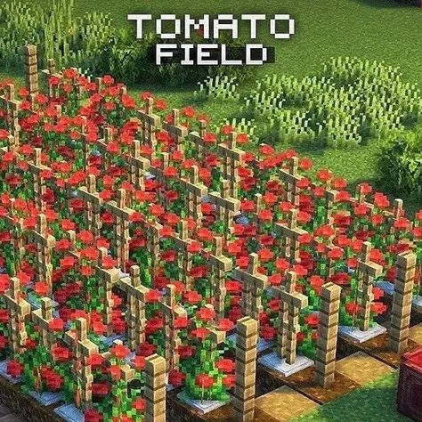 Rose Garden Minecraft, Minecraft Tomato Farm, Minecraft Tulip Field, Flower Farm Minecraft, Minecraft Sunflower Field, Minecraft Fields, Minecraft Crop Field, Flower Field Minecraft, Minecraft Flower Field