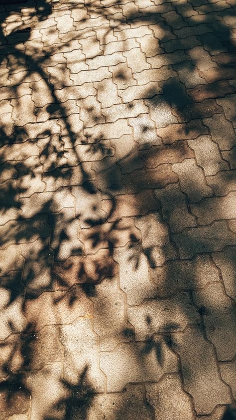 Road Aesthetic Pictures, Long Walks Aesthetic, Nature Ig Story, Aesthetic Pictures Vintage, Tree Snap, Nature Photography Quotes, Nature Photography Flowers, Sky Photography Nature, Flowers Photography Wallpaper