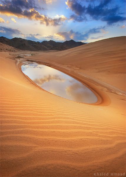 Deserts Of The World, Desert Dream, Desert Life, Have Inspiration, Desert Oasis, المملكة العربية السعودية, Zion National Park, Desert Landscaping, Alberta Canada