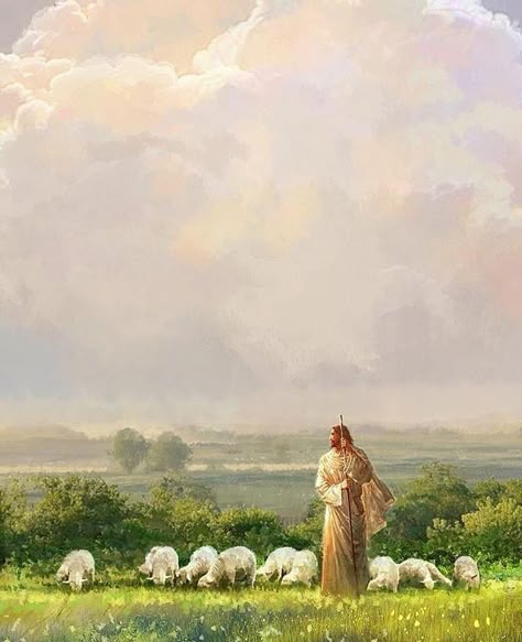 Images Of Christ, Jesus Wallpaper, The Good Shepherd, 수채화 그림, Jesus Christus, General Conference, Jesus Art, Light Of Life, Light Of The World