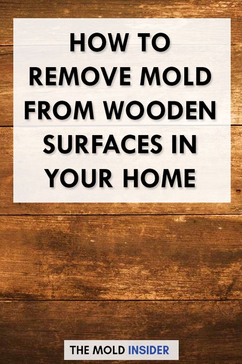 Removing Mold From Wood, Cleaning Mold Off Wood, How To Get Mold Off Wood, How To Get Rid Of Black Mold, How To Get Rid Of Mold, Getting Rid Of Mold, Mold Removal, How To Remove Mold From Wood, Remove Mold From Wood