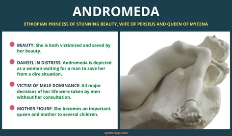 Andromeda Greek Mythology, Andromeda And Perseus, Andromeda Mythology, Princess Andromeda, Perseus And Andromeda, Greek Myth, Greek And Roman Mythology, Roman Mythology, In Distress