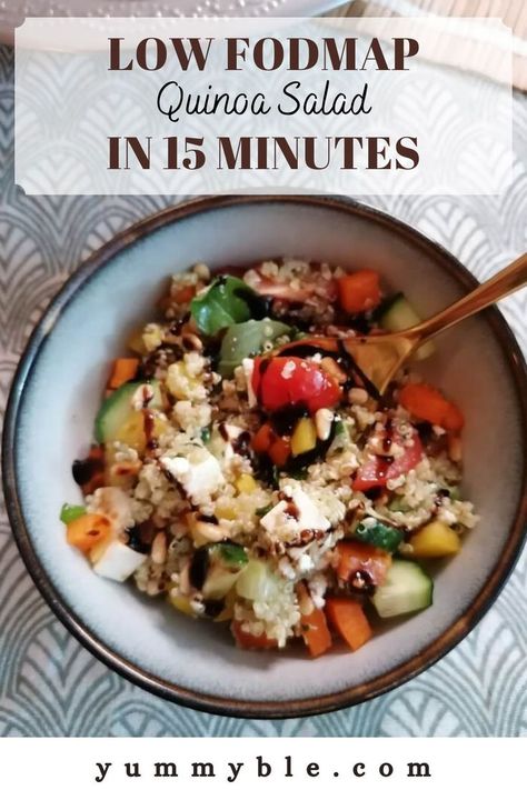 Quinoa Salad Low Fodmap, Fodmap Salad Recipes, Low Fodmap Bowl Recipes, Low Fodmap Nourish Bowls, Low Fodmap Cucumber Recipes, Low Fodmap Dinner Vegetarian, Low Fodmap Party Food, Low Fodmap Plant Based Recipes, Ground Turkey Low Fodmap Recipes