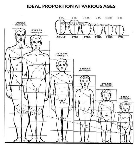 Drawing Body Proportions, Character Design Tutorial, Human Figure Sketches, Human Anatomy Drawing, Human Figure Drawing, Human Anatomy Art, Human Drawing, Anatomy Sketches, Figure Sketching