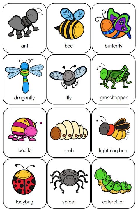 Here's Your Free Bug Flashcards Bug Activities, Bugs Preschool, Insect Activities, Bug Crafts, Kindergarten Worksheets Printable, Preschool Theme, Kids Learning Activities, Tracing Worksheets, Bugs And Insects