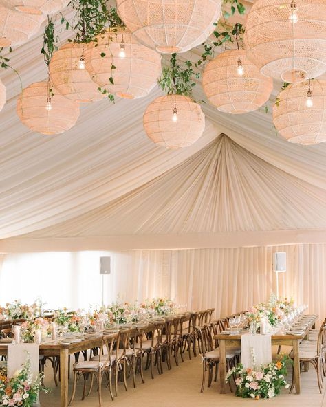 Ashley Pigott Events on Instagram: “Still dreaming of this weekend 💭 Dream Team 🤍 Photo @taramcmullenphoto Tent @premiertents Drape @eventuredesign Floral…” Draped Tent Wedding, Tent Ceiling Decorations, Tent Draping Wedding, Wedding Tent Draping, Draped Tent, Diwali Dinner, Wedding Installation, Tent Draping, Wedding Interior