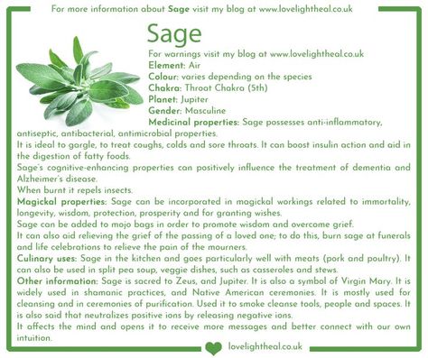 A small description about the healing and magickal properties of Sage. Visit www.lovelightheal.co.uk/blog to read the full description. Sage Properties Magic, Magical Properties Of Sage, White Sage Properties, Lotus Embryo Magical Properties, Sage Spiritual Meaning, Ashwagandha Magical Properties, White Sage Magical Properties, Sage Magical Properties, Sage Properties