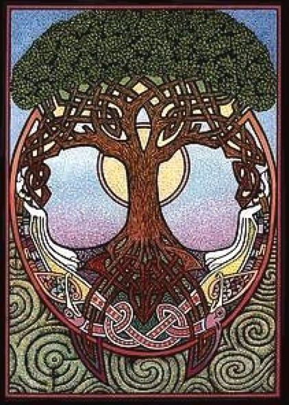 Courtney Davis Art Courtney Davis, Earth Magic, Irish Mythology, Flower And Butterfly, Tree Spirit, Celtic Patterns, Fairy Pictures, Butterfly Illustration, Celtic Knotwork