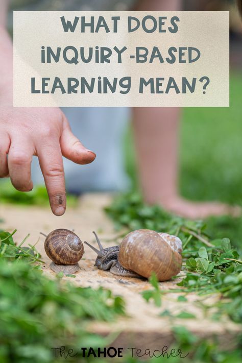 Have you been wondering what inquiry-based learning means exactly? Inquiry-based learning is explained right here, including examples to get you started. Find out about different inquiry structures and how you can incorporate inquiry-based learning in your classroom today. Inquiry Based Learning Kindergarten, Ib Pyp Classroom, Kindergarten Inquiry, Science Stations, Inquiry Based Learning, Forest School, Science Resources, Classroom Inspiration, Letter Recognition