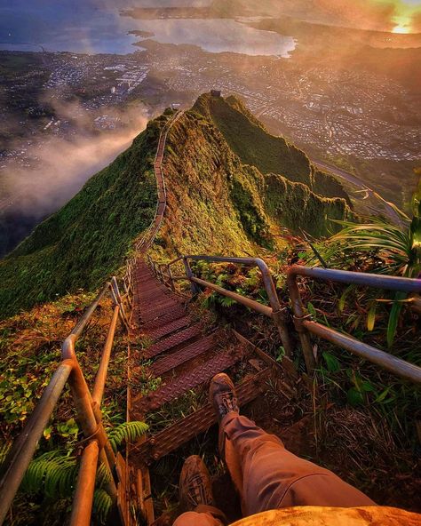 Hiking the Stairway to Heaven in Hawaii! 🍃🧡 - Travel Hacks Dat Stairway To Heaven Hawaii, Starway To Heaven, Hawaii Hikes, Hawaiian Travel, Way To Heaven, Hawaii Usa, Asia Destinations, Stairway To Heaven, To Heaven