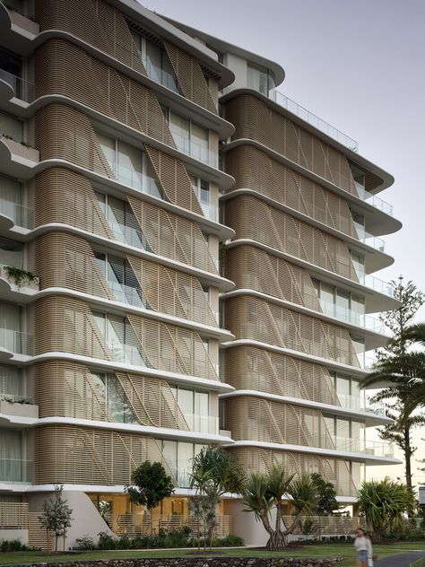 Gallery of Norfolk Burleigh Heads  Residential Building / Koichi Takada Architects - 11 Koichi Takada, Norfolk House, Norfolk Pine, Passive Solar Design, Burleigh Heads, Timber Roof, Passive Design, Solar Design, Zaha Hadid Architects