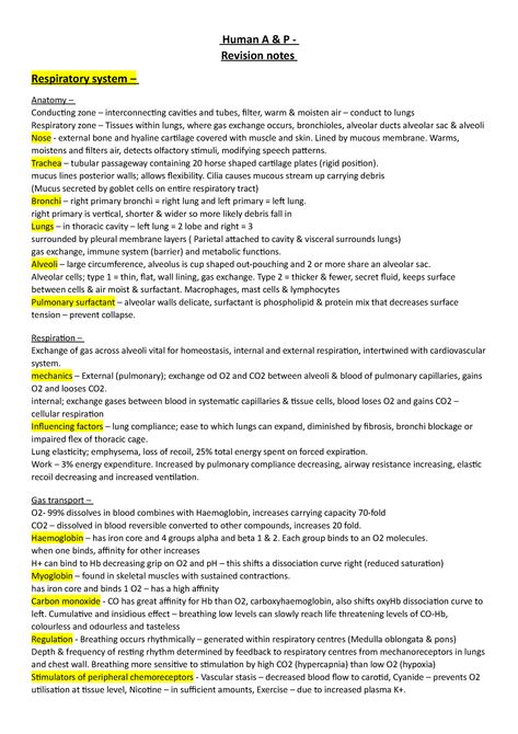 Share free summaries, lecture notes, exam prep and more!! Anatomy And Physiology Respiratory System, Respiratory Anatomy And Physiology, Respiratory Physiology Notes, Respiratory System Parts And Functions, Anatomy Of Respiratory System, Anatomy Of Lungs Notes, The Respiratory System Notes, Lung Anatomy Notes, Respiratory System Anatomy Notes