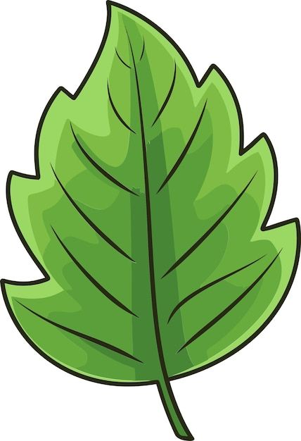 Premium Vector | Tropical Tapestry Exotic Leaf Vector NarrativesDigital Botany Futuristic Leaf Vector Narratives Banyan Leaf, Tropical Tapestry, Leaf Vector, Green Leaf Background, Moringa Leaves, Eco Logo, Leaves Illustration, Leaf Clipart, Leaf Illustration