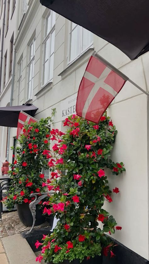 Danmark Aesthetic, Copenhagen Denmark Aesthetic, Herning Denmark, Copenhagen Vibes, Copenhagen Nyhavn, Culture Appreciation, Denmark Aesthetic, Copenhagen Aesthetic, Danish Aesthetic