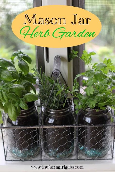 Jar Herb Garden, Mason Jar Herbs, Mason Jar Herb Garden, Herbs Garden, Growing Basil, Mason Jar Projects, Types Of Herbs, Small Mason Jars, Indoor Herb Garden