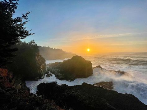 Oregon's Adventure Coast: Coos Bay, North Bend, Charleston Coos Bay Oregon, Coos Bay, Hidden Gems, Nature Beauty, Charleston, Bend, Oregon, Hiking, Gems