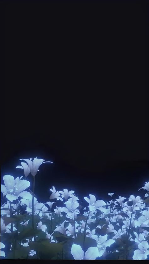 Midnight Blue Wallpaper Iphone, Moon Layout, Blue Moon Wallpaper, Moonlight Flowers, Moon Wallpapers, Black Phone Background, Moon Background, Wallpaper Moon, Simplistic Wallpaper