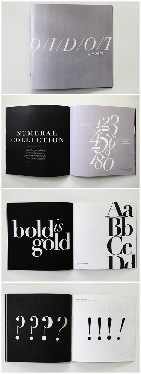 Didot Type Specimen Booklet Font Specimen Book, Type Book Design, Typography Specimen Booklet, Specimen Book Typography, Book Chapter Design Layout, Type Specimen Book Layout, Booklet Typography, Typeface Booklet, Typography Publication