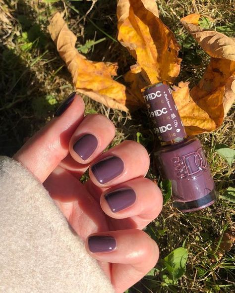 Dnd Gel Polish Colors Fall Orange, Dnd Fall Color Nails, Dnd Ombre Nails, September Nails Color Fall Dnd, Fall Nail Colors Gel Polish Short Nails, Cool Nail Polish Colors, Dnd Pewter Gray, Fall Pink Nails Dnd, 3 Colored Nails