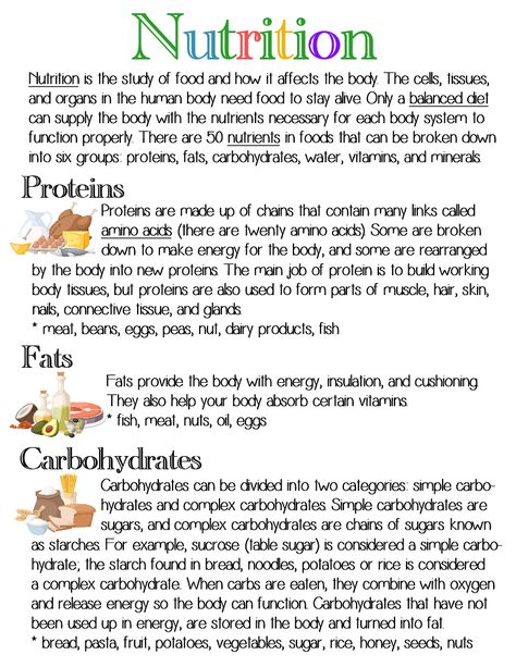 Animal Nutrition Biology Notes, Nutrition In Human Beings Notes, Nutrition Class 10 Notes, Dietitian Study Notes, Nutrition Study Notes, Nutrition In Plants Class 7 Notes, Biology Nutrition, Nutrition Notes, Nutrition Basics