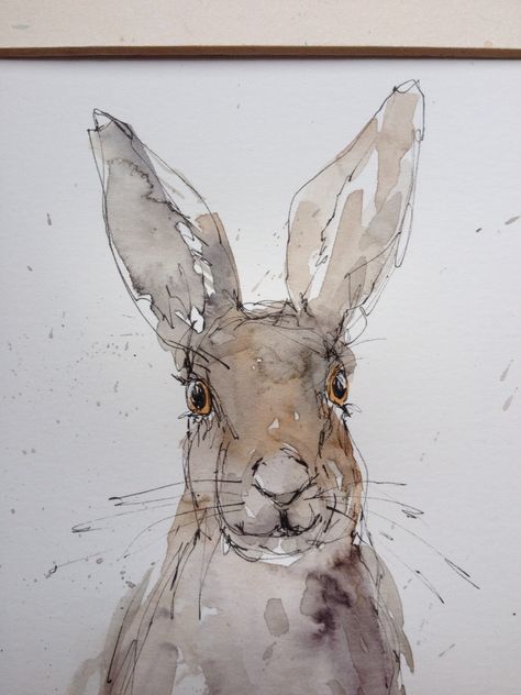 Line and wash hare by Annabel Burton Line And Wash Watercolor, Hare Drawing, Pen Techniques, Hare Watercolour, Line And Wash, Sketch Tutorial, Watercolor And Pen, Hare Painting, Bunny Watercolor