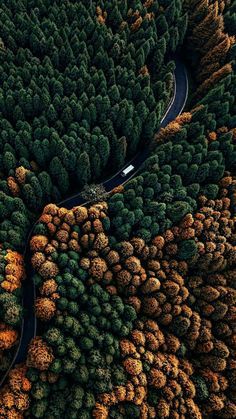 Amazing drone photog Amazing drone photography #photography #dronephotography | Drone photography ideas | Drone photography | Drones for sale | drones quadcopter | Drones photography | #aerial #dronephotography Photography Jewelry, Wallpaper Tumblr, Winding Road, Tree Photography, Drone Photos, Samsung Wallpaper, Drone Photography, Nature Landscape, Landscape Wallpaper