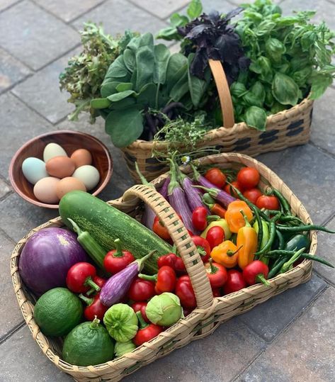 Vegetable Garden Basket, Produce Garden Aesthetic, Vege Garden Aesthetic, Vegetable Harvest Basket, Garden Harvest Storage, Vegetable Garden Astethic, Summer Harvest Aesthetic, Harvest Basket Diy, Garden Harvest Aesthetic