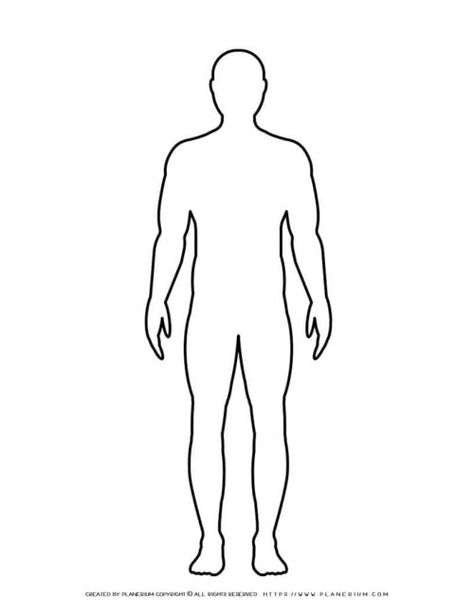 Male Body Outline, Wall Elevation, Person Outline, Arts And Crafts Activities, Male Body Drawing, Template Art, Outline Template, Body Silhouette, Human Body Drawing