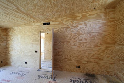 Installing Plywood Walls: The Rules of Engagement | BRUSHY TOP HOUSE Wood Interior Walls, Plywood Wall Paneling, Pallet Deck Diy, Madeira Beach Florida, Types Of Plywood, Remodel House, Plywood Design, Funchal Madeira, Plywood Interior