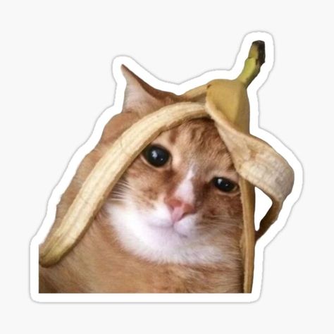 "poor banana cat meme" Sticker for Sale by Agathepages Fun Stickers Design, Photobooth Stickers, Cat And Dog Memes, Banana Sticker, Banana Cat, Creative Stickers, Funny Caricatures, All Animals, Cats For Sale