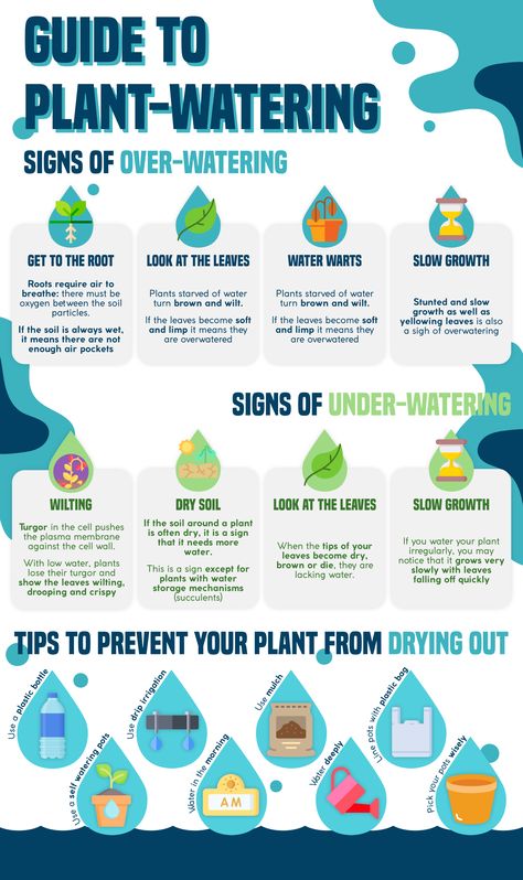 Plant Watering Chart, Plant Health Guide, When To Water Vegetable Garden, House Plant Watering Guide, Herb Watering Guide, Plant Watering Guide, Garden Watering Schedule, Agriculture Ideas, Garden Binder