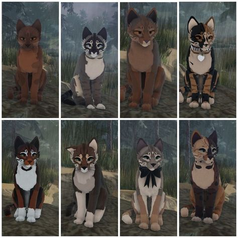 Wcue Cat Idea, Warrior Cats Wcue Oc, Wcue Non Cat Morphs, Warriors Oc Ideas, Warrior Cat Design Ideas, Cat Warrior Character Design, Wcue Morph Ideas Wolf, Wcue Cat Morph Ideas, Cute Wcue Morph Ideas