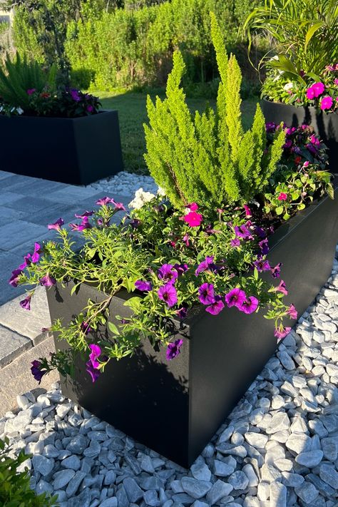 block long box planter curated on LTK Rectangular Planters Outdoor Ideas, Long Flower Pots Planters, Planter Boxes Front Yard, Long Planter Ideas, Planter Box Wall, Plant Box Design, Privacy Planters, Long Planter Boxes, Yard Planters