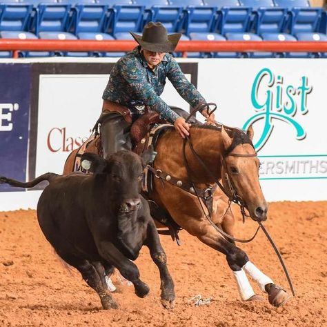 Horse Disciplines, Sculpting Inspiration, Working Cow Horse, Ranch Horses, Barn Layout, Western Horses, Cowboy Life, Cow Horse, Horse Pics