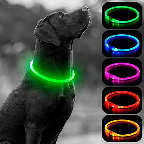 Amazon.com : HIGO LED Dog Collar Light, USB Rechargeable Flashing Dog Collars, TPU DIY Light Up Necklaces for Dog Walking at Night (Green) : Pet Supplies Night Dog Walking, Dog Shock Collar, Diy Dog Collar, Dog Light, Led Dog Collar, Large Dog Collars, Rechargeable Light, Up Dog, Puppy Collars