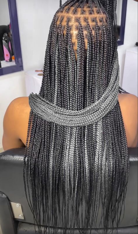 Gray And Black Knotless Braids, Grey Peekaboo Knotless Braids, Black And Silver Braids For Black Women, Grey Knotless Braids For Black Women, Black And Grey Braids For Black Women, Gray Box Braids Hairstyles, Salt And Pepper Knotless Braids, Silver And Black Braids, Black And Grey Knotless Braids