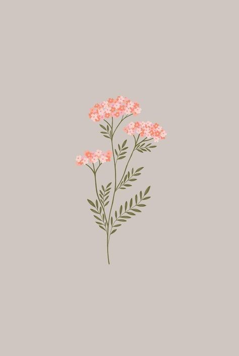 Floral Line Art Wallpaper, Phone Wallpaper Vintage, Minimalist Wallpaper Phone, Phone Wallpaper Boho, Vintage Flowers Wallpaper, Wallpaper Iphone Summer, Wallpaper Flower, Simple Phone Wallpapers, Flower Iphone Wallpaper