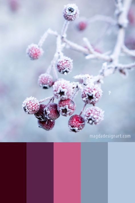 Get some inspiration: discover 10 beautiful winter color palette ideas! These color combinations are perfect for graphic designers or for any creative projects #graphicdesign #colorpalettes #inspiration #art #colors #colorcombinations #creative #branding #winter Youthful Colour Palette, Winter Bedroom Ideas Colour Schemes, Winter Flower Color Palette, Purple Winter Color Palette, Pink Winter Color Palette, January Colour Palette, Aestethic Color Palette, Winter Pallet Color, Winter Palette Colors