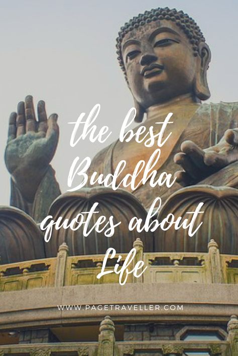 The Best Buddha Quotes About Life - Big Buddha Statue, Hong Kong Buddism Quotes Mindfulness, Buddha Quotes Happiness, Famous Buddha Quotes, Buda Quotes, Thailand Quote, Spiritual Quotes Buddha, Diversity Quotes, Buddism Quotes, Best Buddha Quotes