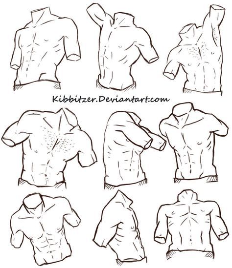 Male Torso Reference Sheet by Kibbitzer on DeviantArt Male Figure Drawing, Male Torso, Human Figure Drawing, Anatomy Sketches, Drawing Faces, Body Reference Drawing, Hand Reference, Anatomy Drawing, Poses References