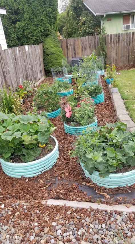 Circle Raised Garden Beds, Circle Garden Bed, Metal Raised Beds, Circle Bed, Backyard Garden Layout, Veg Garden, Small Circle, Garden Stuff, Garden Set