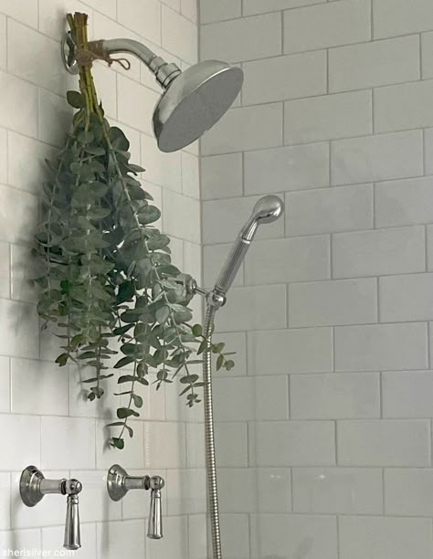 Fresh Eucalyptus, Dried Eucalyptus, Spa Shower, Ideas Hogar, Bathroom Plants, Bath Essentials, Apartment Bathroom, Bathroom Spa, Diy Farmhouse Decor