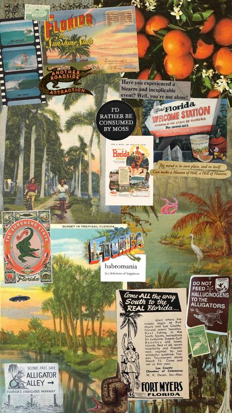 #florida #shuffle #vintageflorida #weirdflorida 70s Florida Aesthetic, Vintage Florida Aesthetic, Florida Collage, Usa Culture, Room Collage, Florida Aesthetic, Theme Wallpaper, Collage Iphone, Art 2024