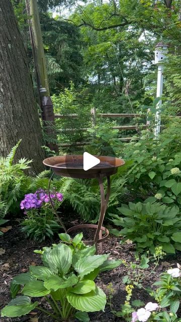 Linda on Instagram: "I got myself one of those solar-powered water fountains and added it to this old @potterybarn copper birdbath — and I’m irrationally thrilled with it. #simplepleasures #inthegarden #birdbath #cottagegarden #countrygarden #backyard #haven #woodland  #exteriors #landscaping #instagarden #gardenersofinstagram #homeandgarden #myheartandhomestyle #mypotterybarn #spotmycottage #bethlehempa #lehighvalley #pennsylvania #junemorning" Birdbath Ideas Landscaping, Birdbath Ideas, Bethlehem Pa, Water Fountains, Outdoor Decorating, Lehigh Valley, Country Gardening, Solar Powered, Simple Pleasures